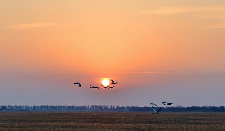 高考作文评分标准全解: 胸中已有丘壑，作文一路高歌