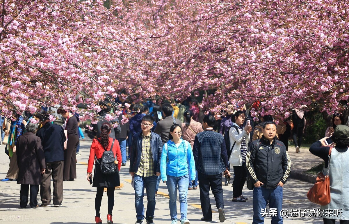 喜报！安徽迎来5所“双一流”院校入驻，其中北航更是建了分校