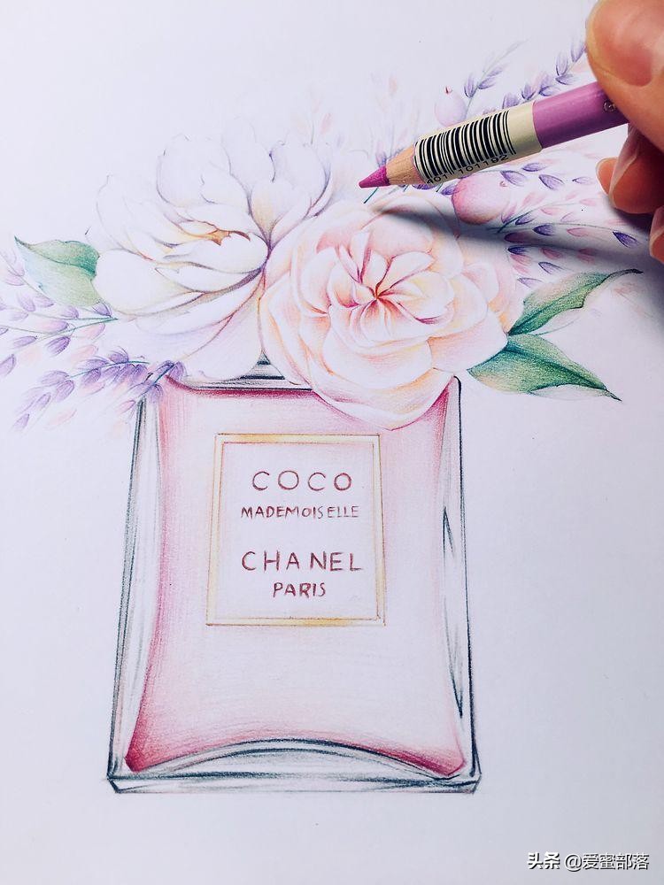 画画如何不"歪",运用整体概括思维找型,香奈儿coco,彩铅教程