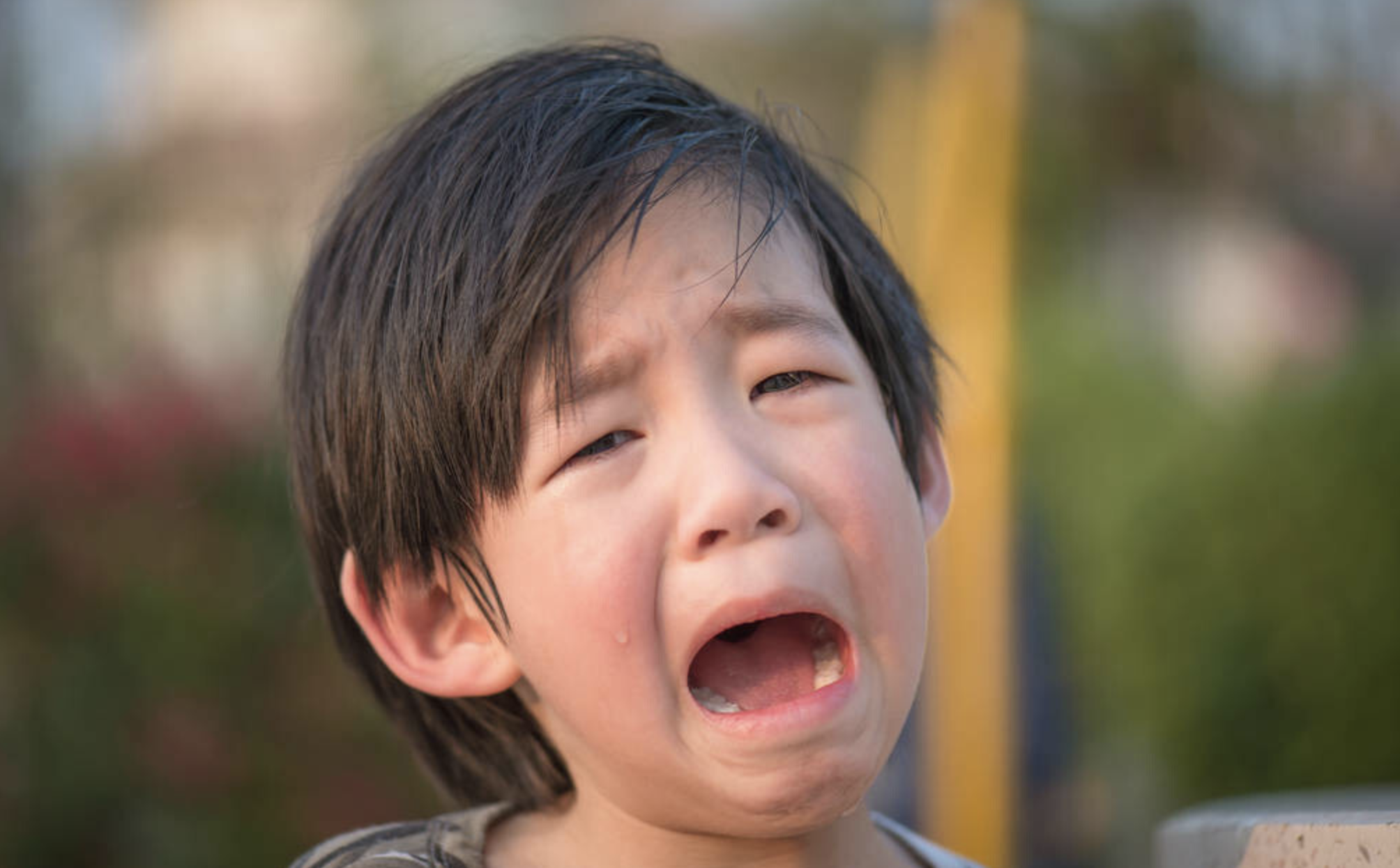 &quot（满嘴谎话的句子）