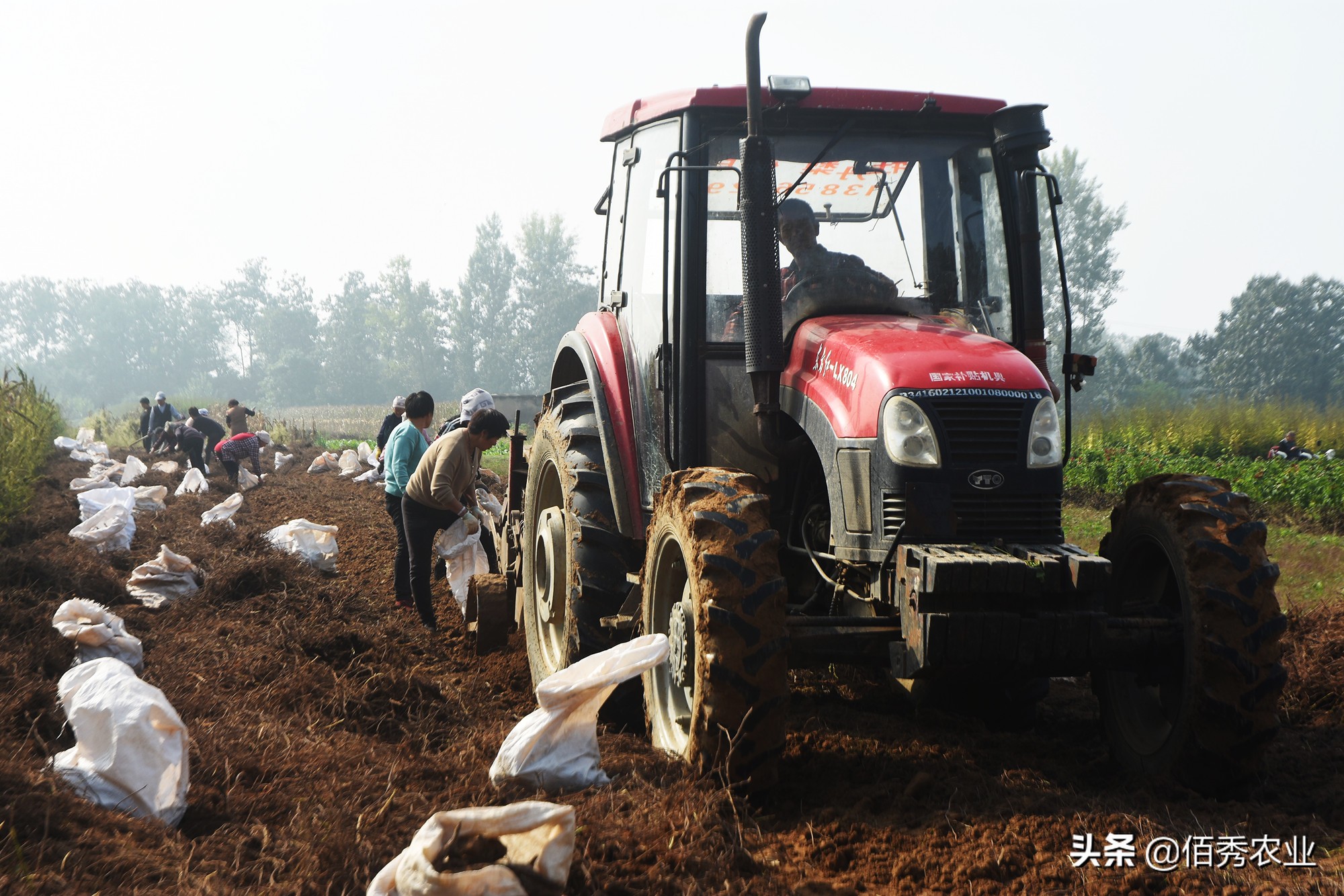 农村青年返乡创业，投入百万元进入农业，如今进退两难，咋回事？