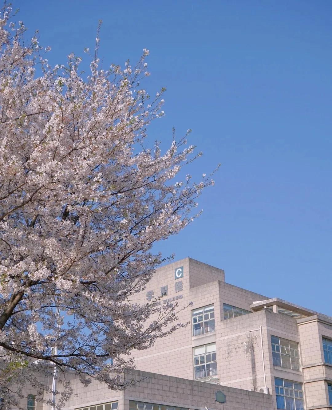 “打着算盘都找不到的好学校——浙江财经大学”