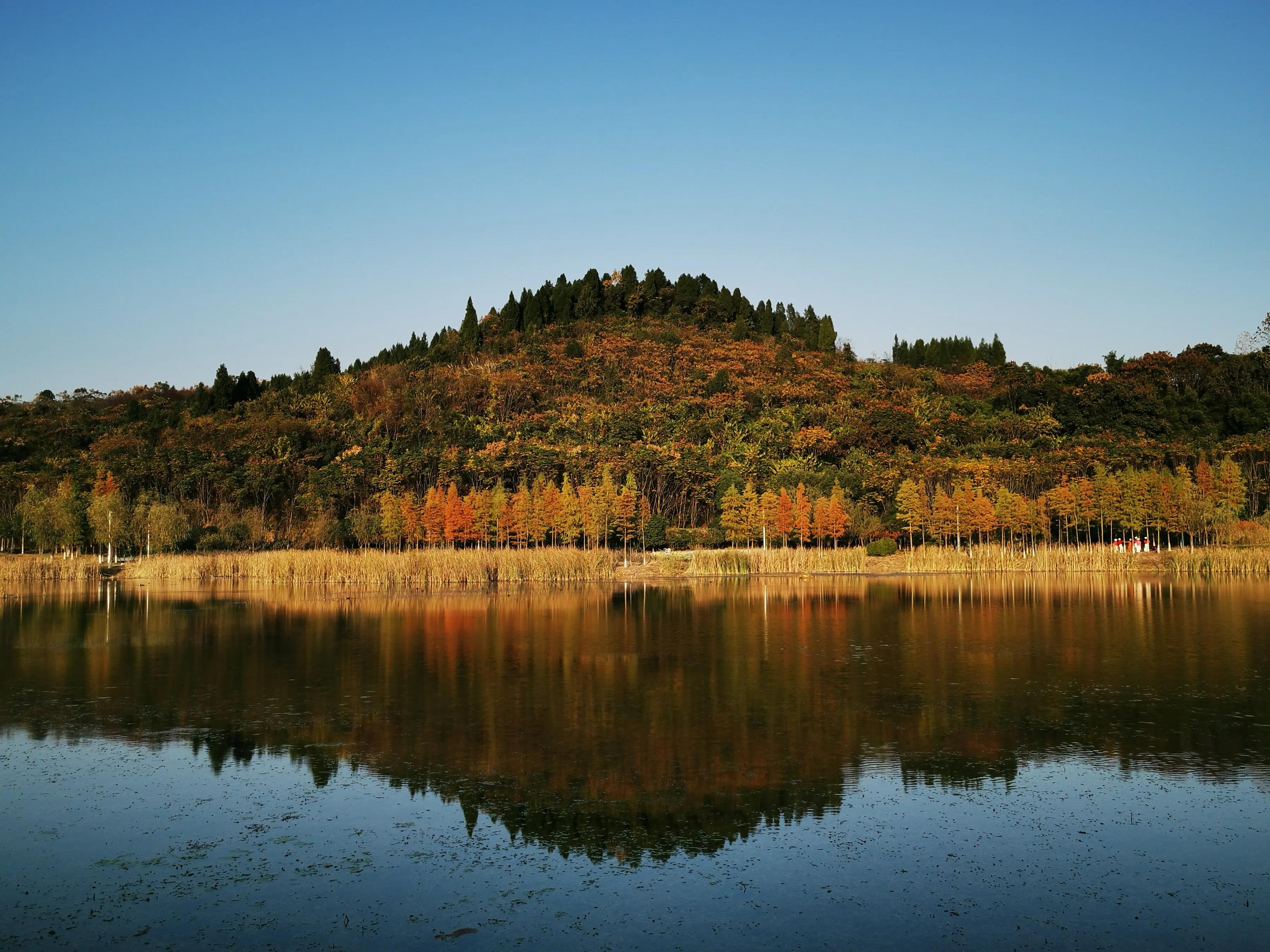 手拍世界（手机摄影平台）-群员作品集（总第733期）