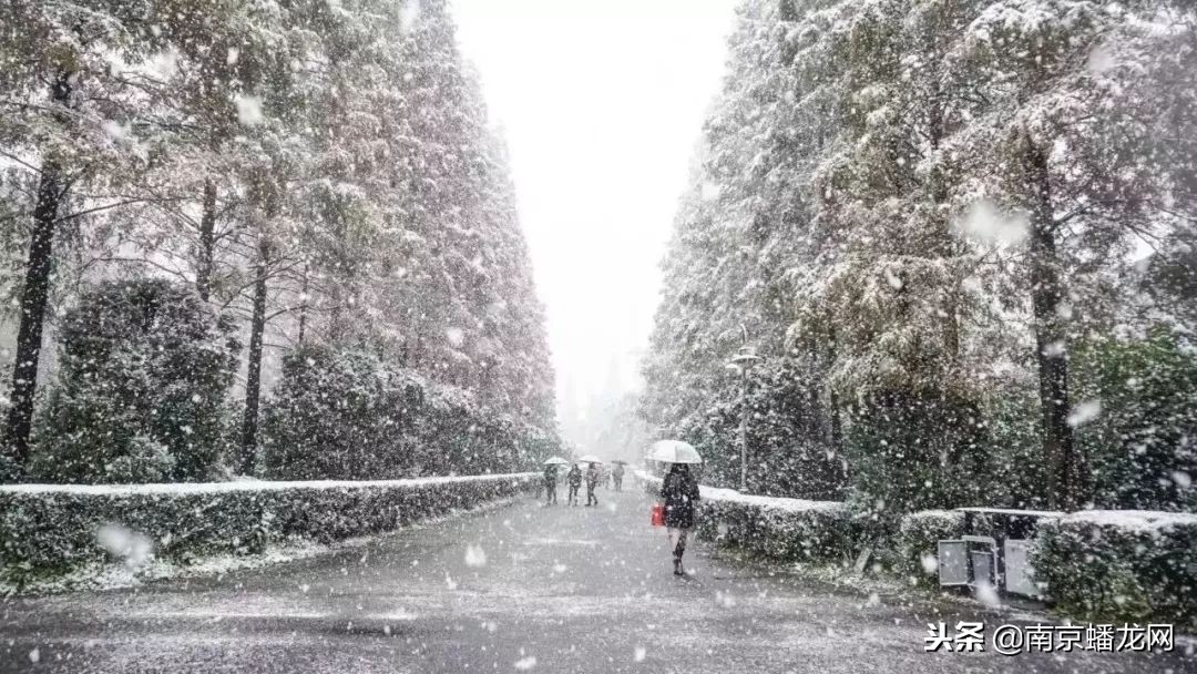 南京信息工程大学，又火了！