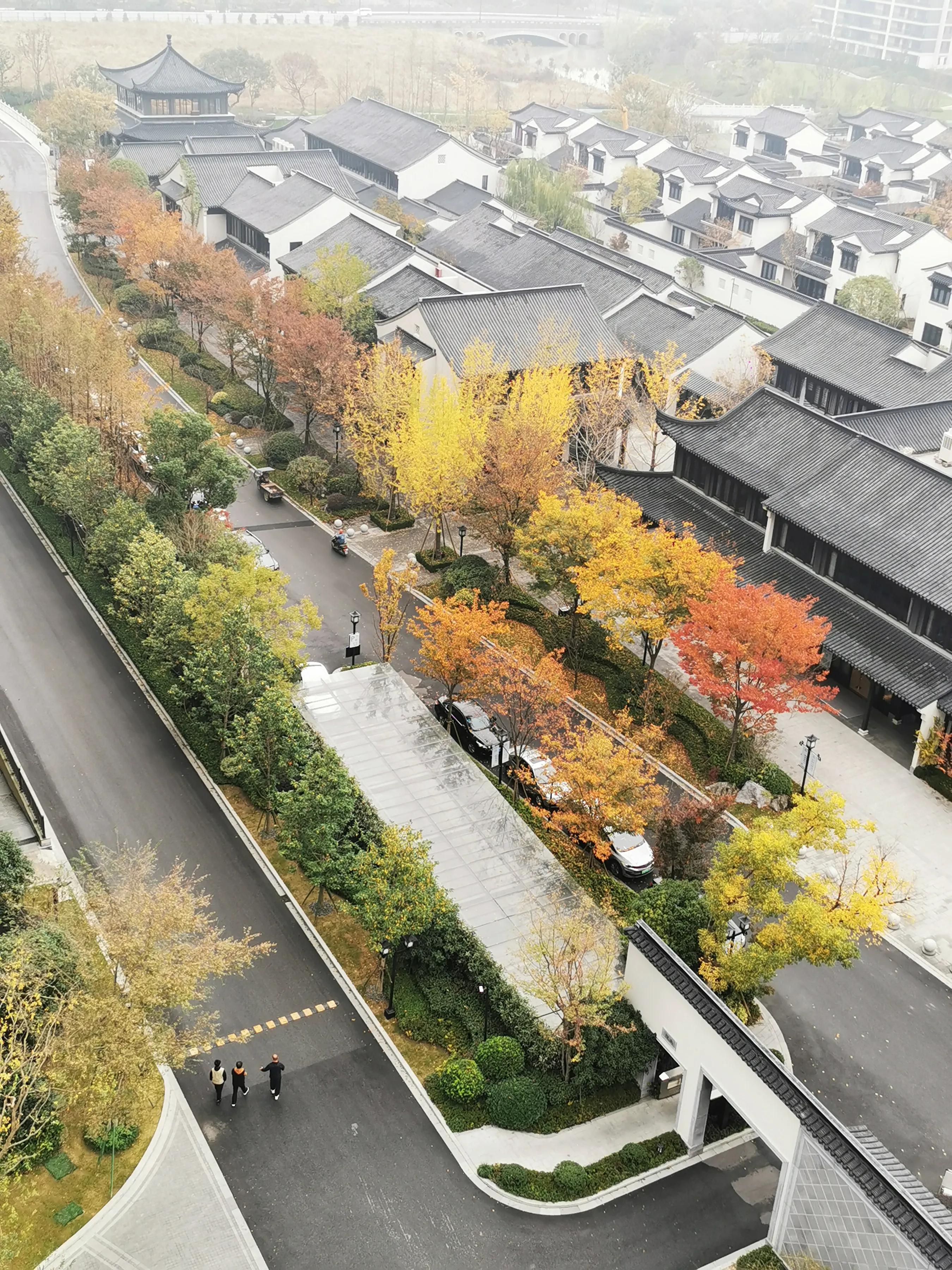 手拍世界（手机摄影平台）-群员作品集（总第733期）