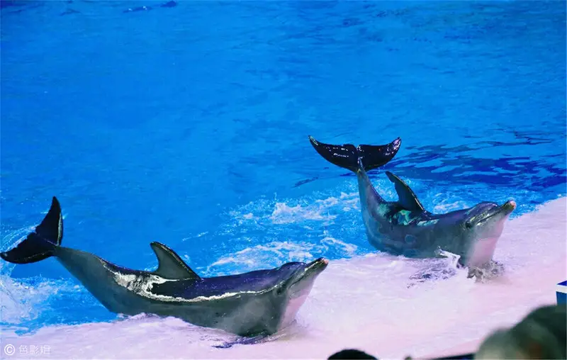 长隆欢乐世界旅游攻略景点必去（三天三夜欢乐长隆之旅）