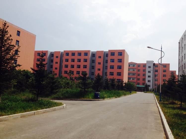 提前批过线速查！7月20日新增19所大学公布艺术类录取分数线