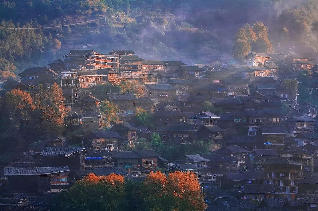 霜降：人间霜花白，从容向寒迈