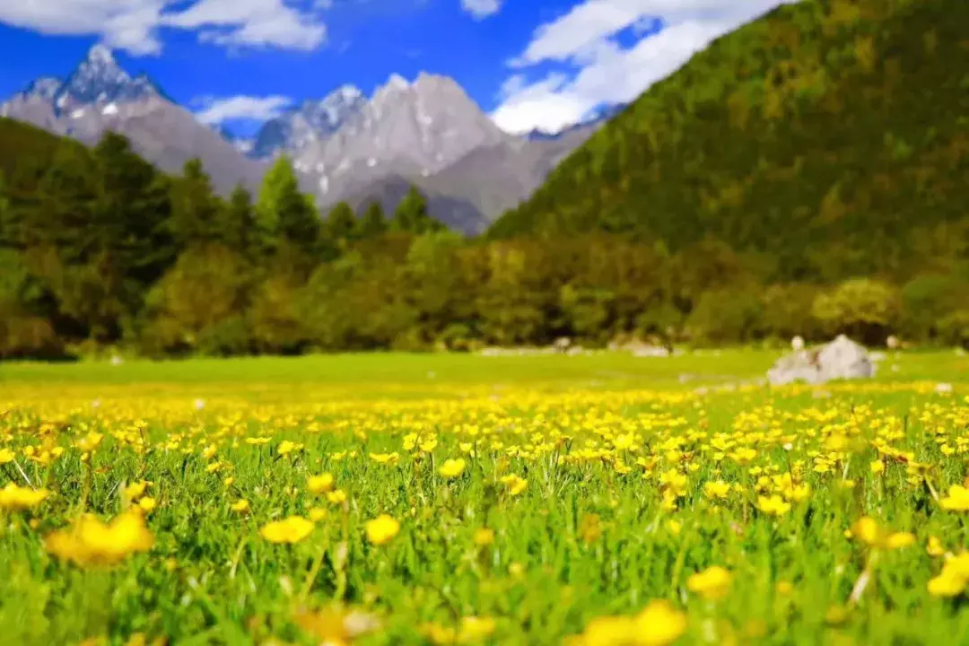 凭准考证免门票！成都周边这8大景区放大招，最长持续到9月