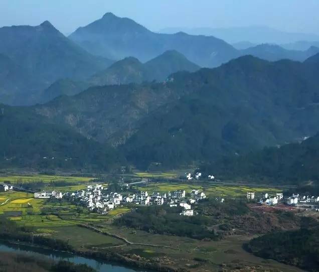 这款松萝茶产自安徽黄山，药店卖它来治病，竟然有上百年历史