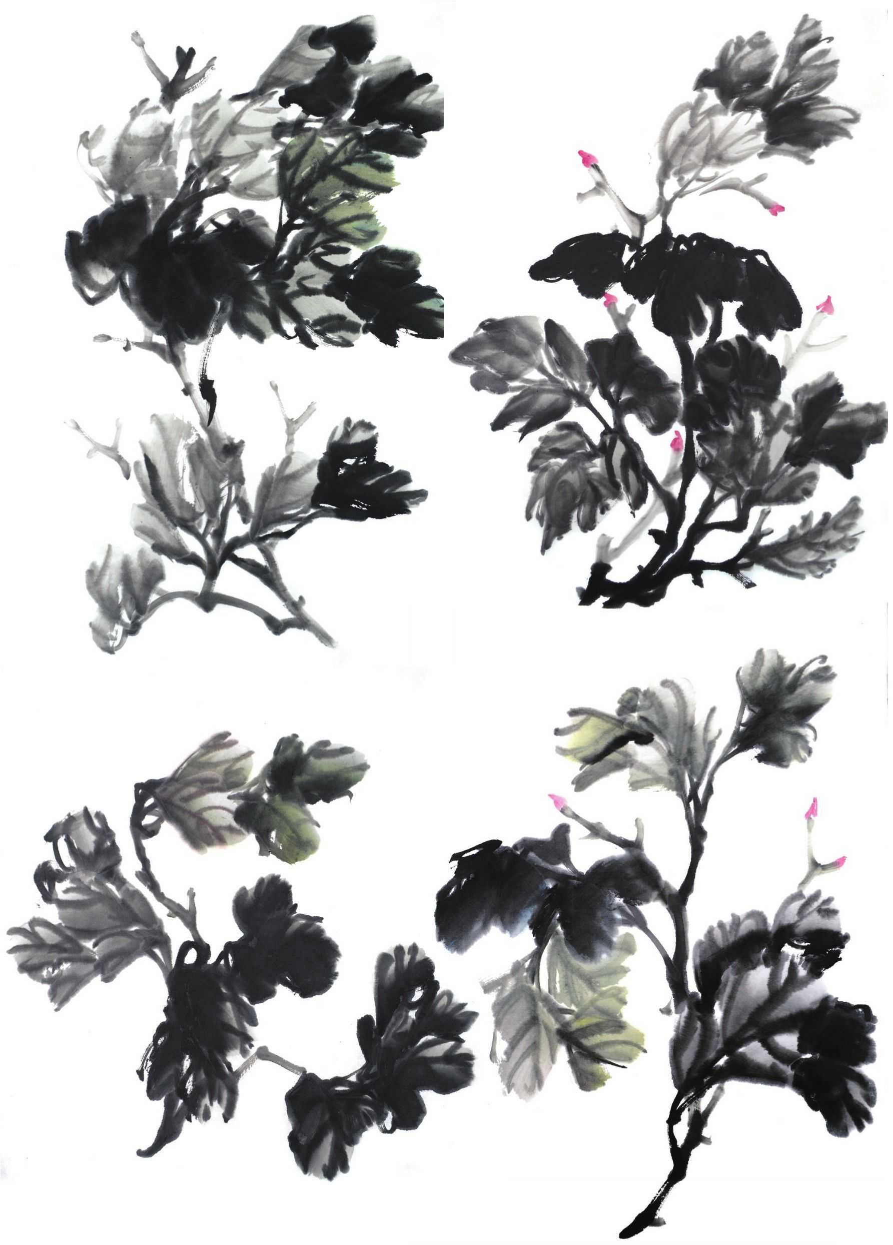 零基础国画教程:分步骤讲解牡丹叶子画法,简单易学,一起来临摹