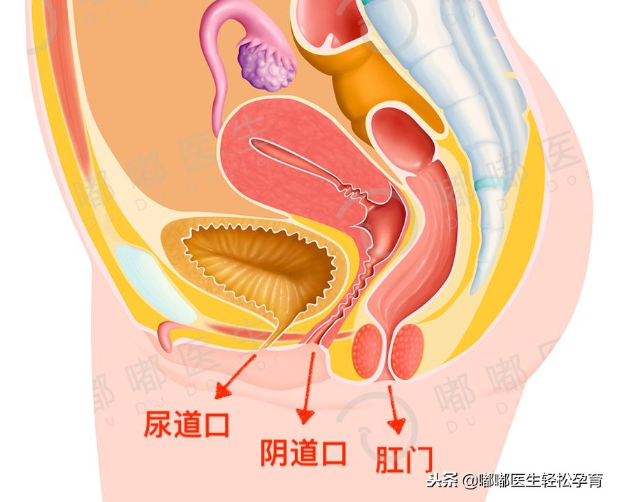 宝宝得了外阴炎？只因妈妈这件事做错了！