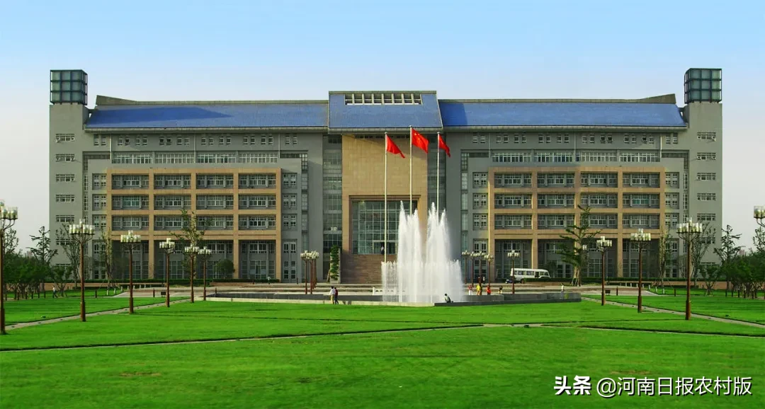 今年郑州大学本硕博招19474人，新增“国际政治”专业，大幅增加农村专项招生计划