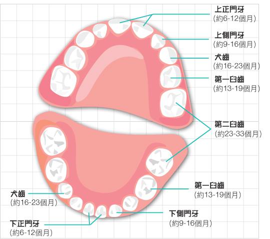 宝宝一直吃维生素D还会缺钙？肋骨外翻、出牙晚真的和缺钙有关？