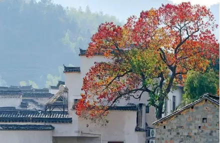 13首饮酒诗词，13重喝酒境界（全是顶级名篇，值得收藏）