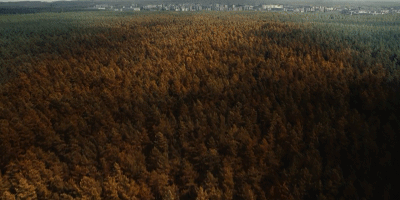 豆瓣9.7分，比恐怖片还可怕