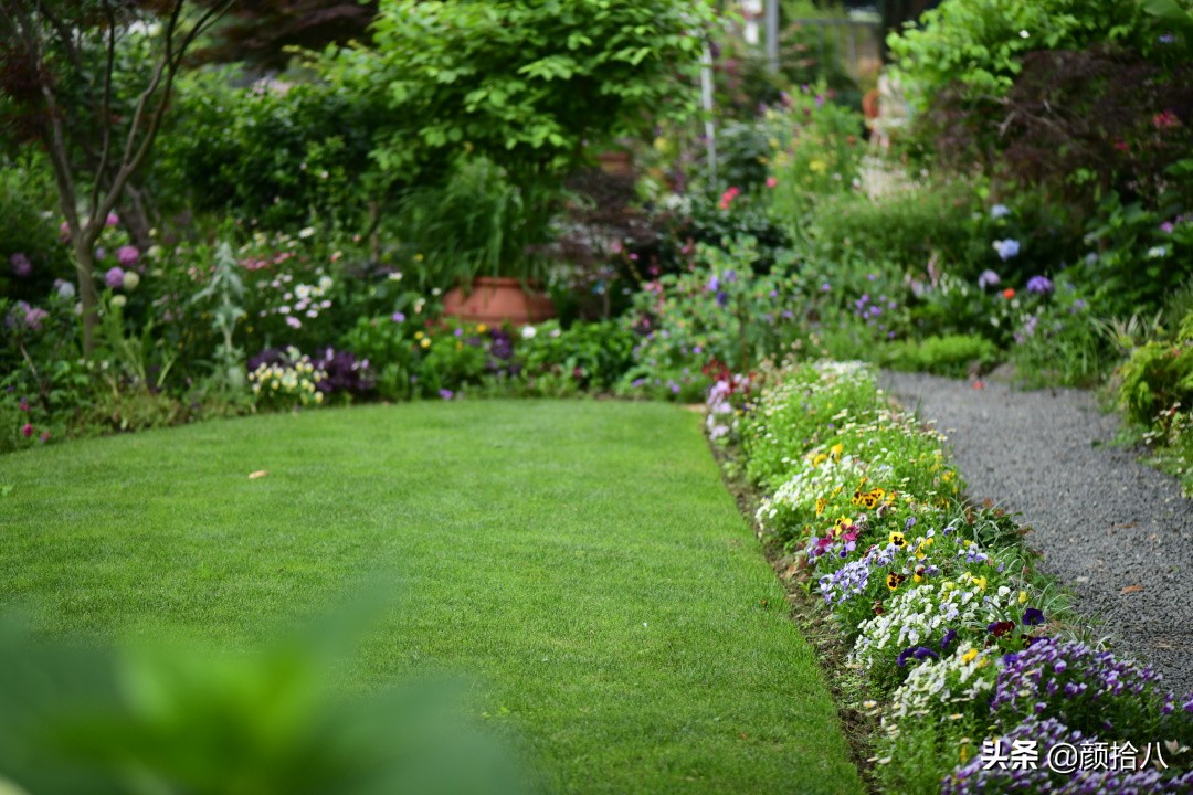 整一块美丽的草坪吧一一的草坪
