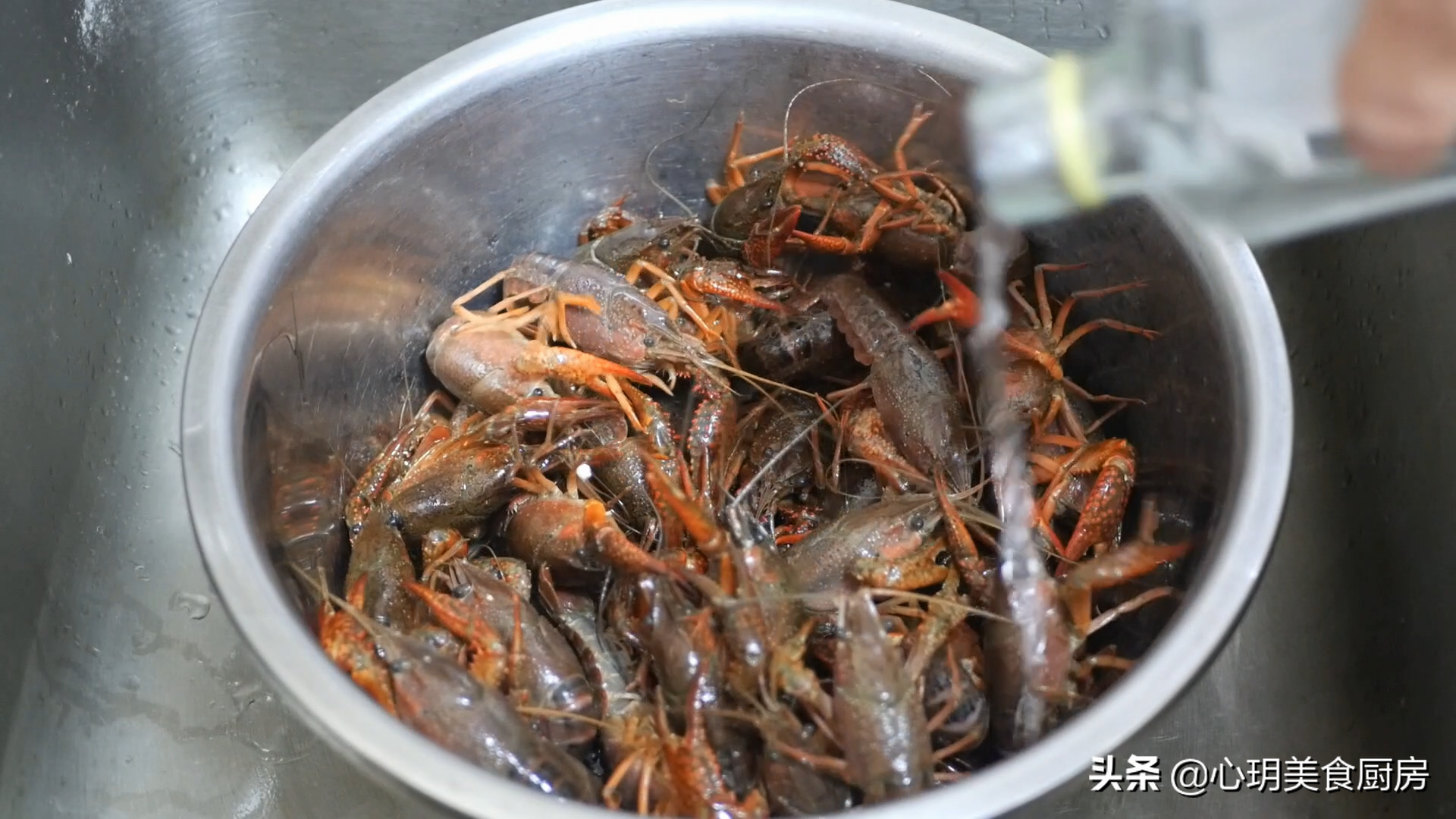 小龙虾的头能不能吃（小龙虾3个部位可能自带毒素）