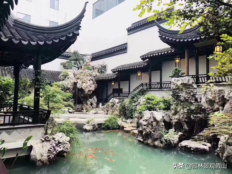 为什么庭院鱼池越来越受欢迎？听听设计师们怎么说
