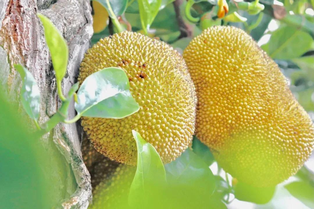 那些别人家的大学！真香！看看你的大学榜上有名吗？