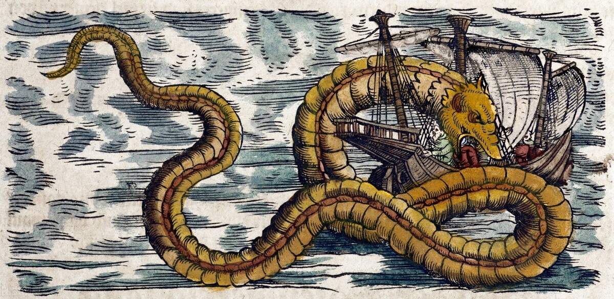 许德拉,是希腊神话中的九头蛇,传说它拥有九颗头,其中一颗头要是被