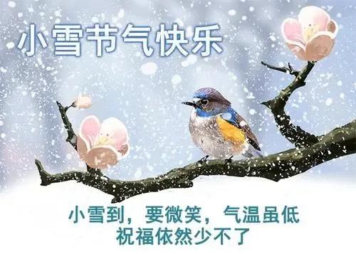 小雪节气祝福语唯美句子独特精选（含图片）