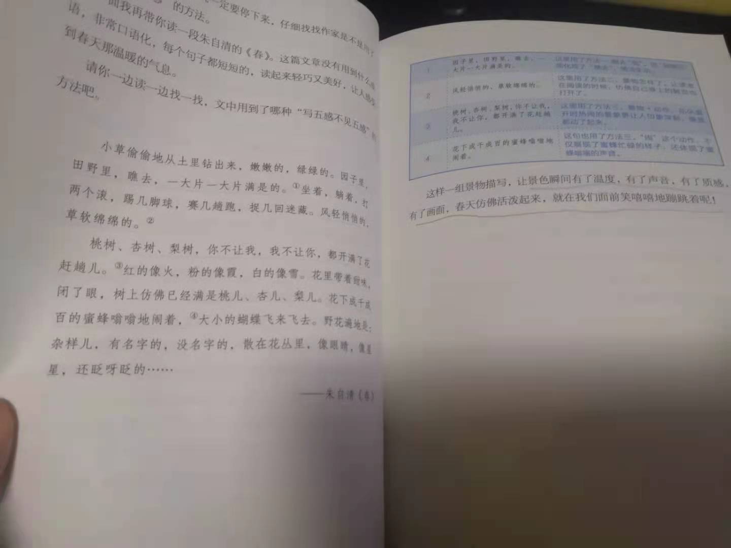 小学作文《臭美老妈》网评：像极了我老妈，孩子的观察力如何培养