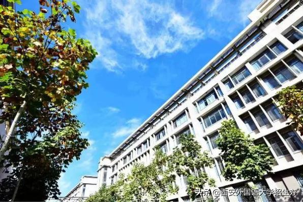 到底啥是佩奇？西安外国语大学这样回答