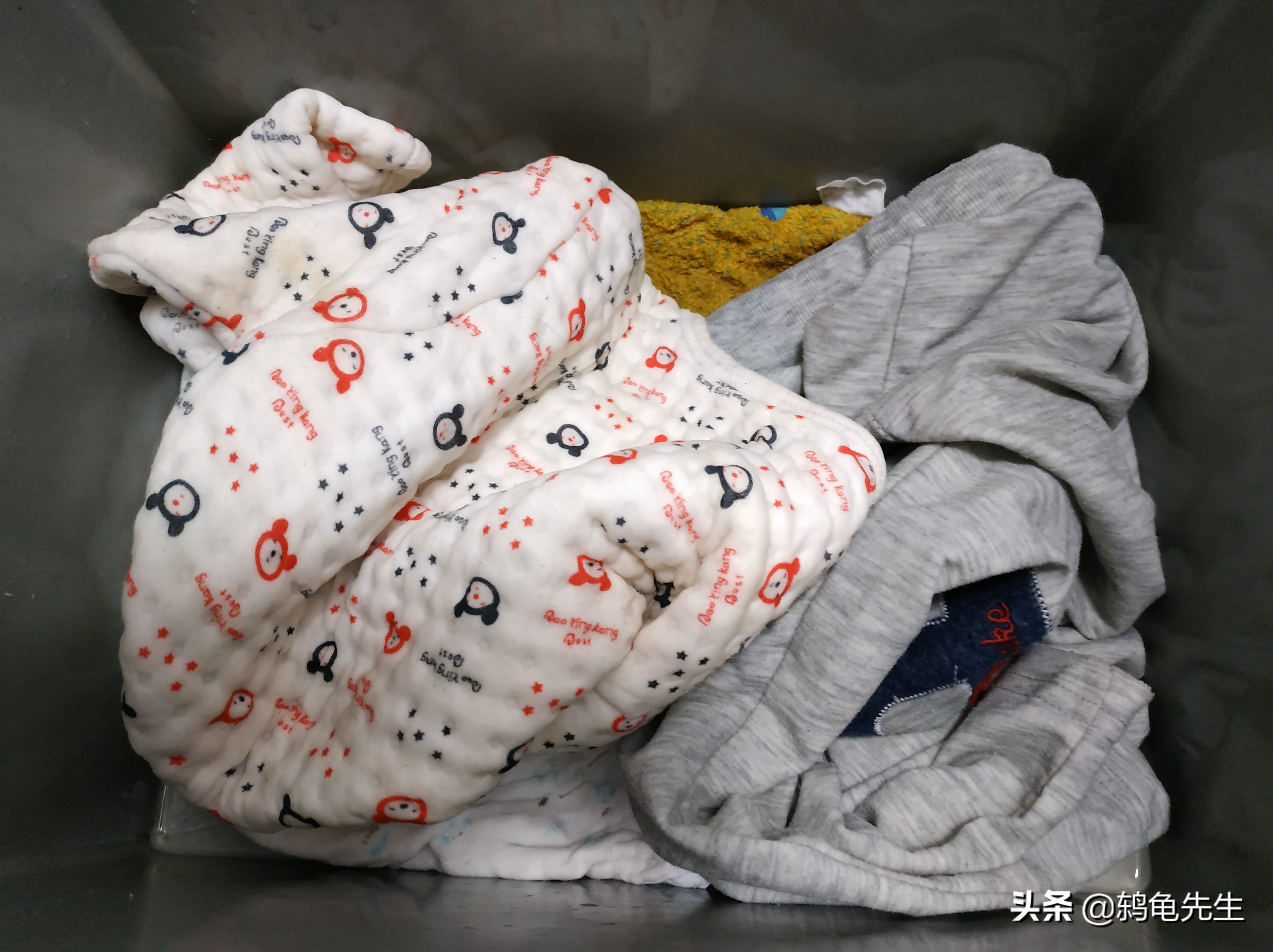 长三角地区乌龟如何冬眠好？湿毛巾冬眠法简单易行，详解操作方法