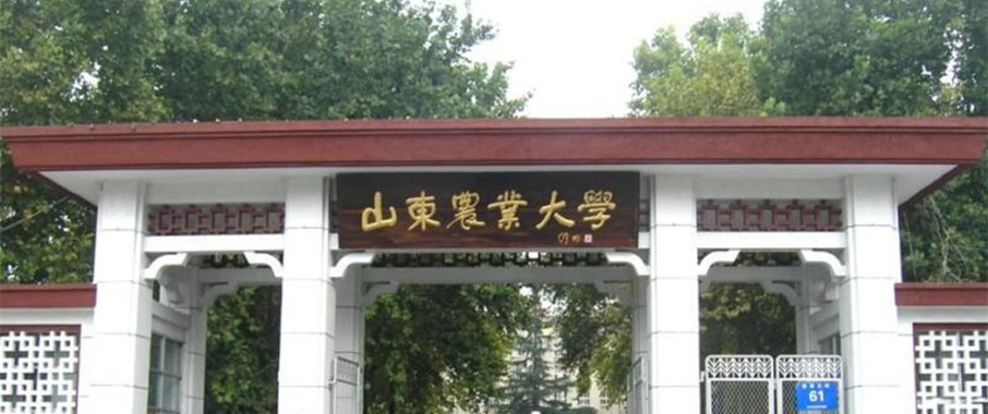 聊聊山东的大学（一）：山大、海大、中石大、山师、齐鲁工大