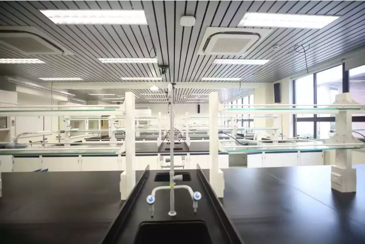 最神奇科创板公司：大学生凑钱宿舍创业，缔造“科学服务第一股”