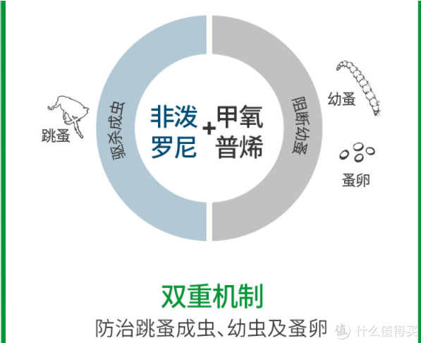 新手养猫指南——养猫一年我花了多少钱？看完我震惊了