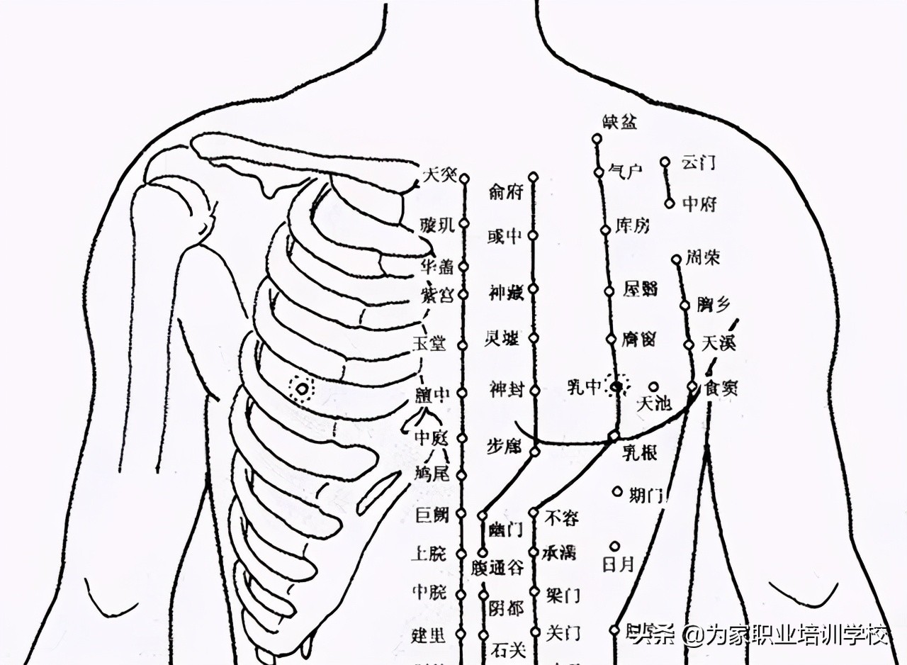 催乳师/月嫂在按压穴位时,不仅在打通乳房经脉,也促进乳房的气血,淋巴