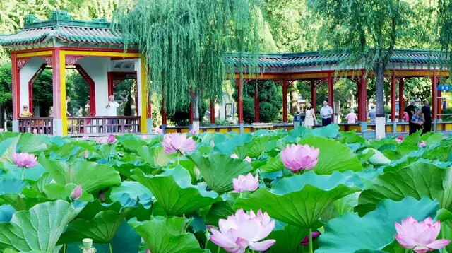 各种形式的促销应该如何进行账务处理？