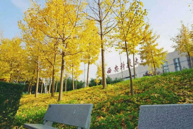 也许，这是全陕西“最特殊”的一张身份证了吧