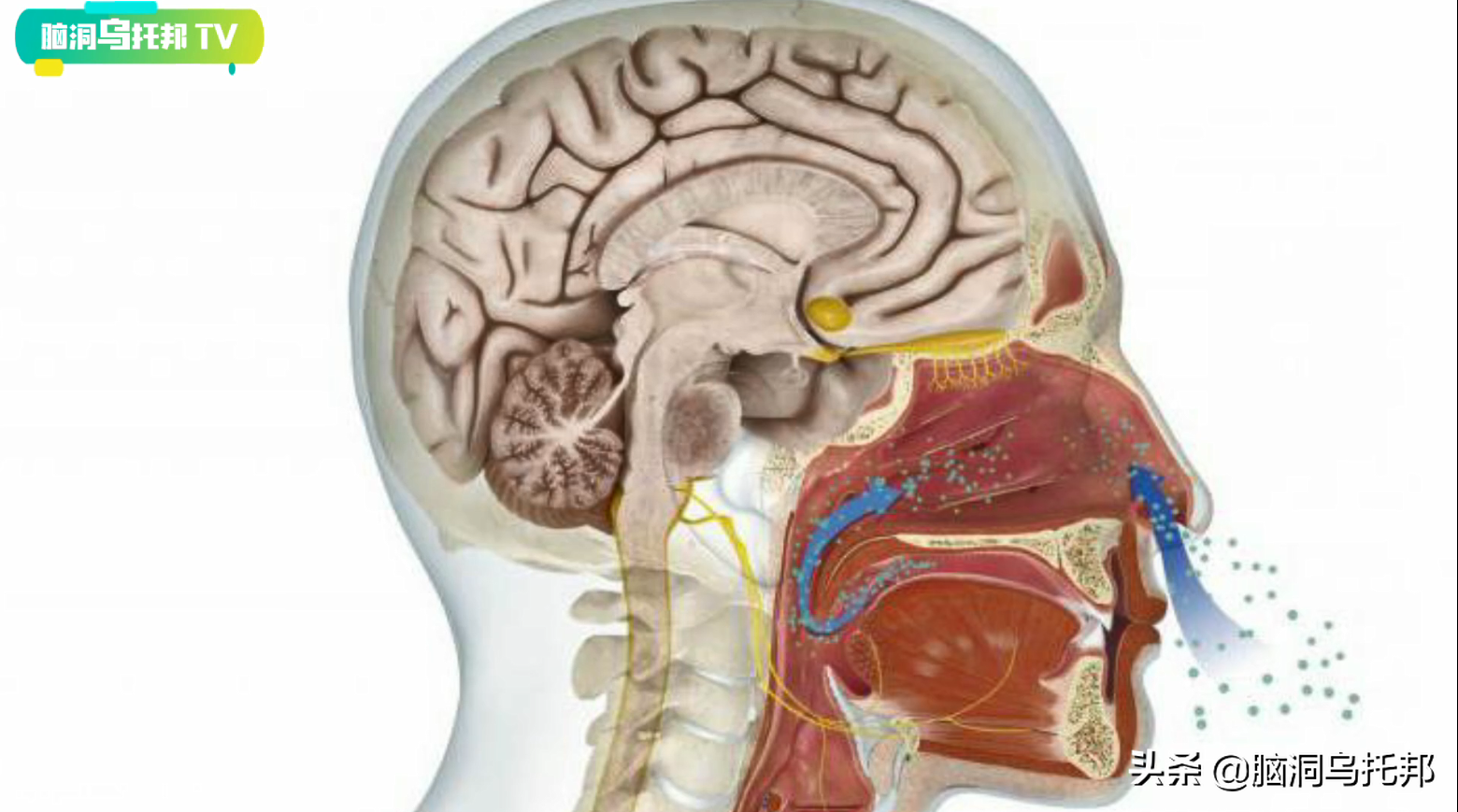 一个疯子的惊世预言，竟然一一实现！“非常态人群”眼中的异世界