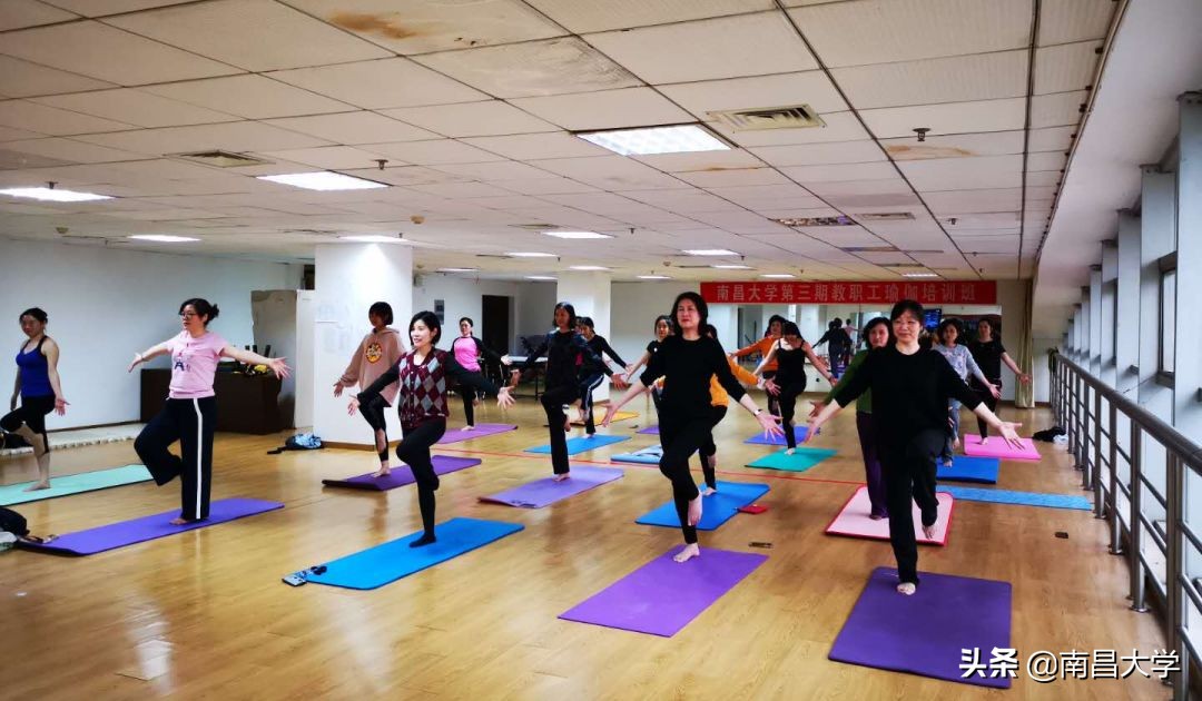 我们的2019 | 走进生命科学学院、玛丽女王学院、管理学院、基础医学院、工会、保卫处