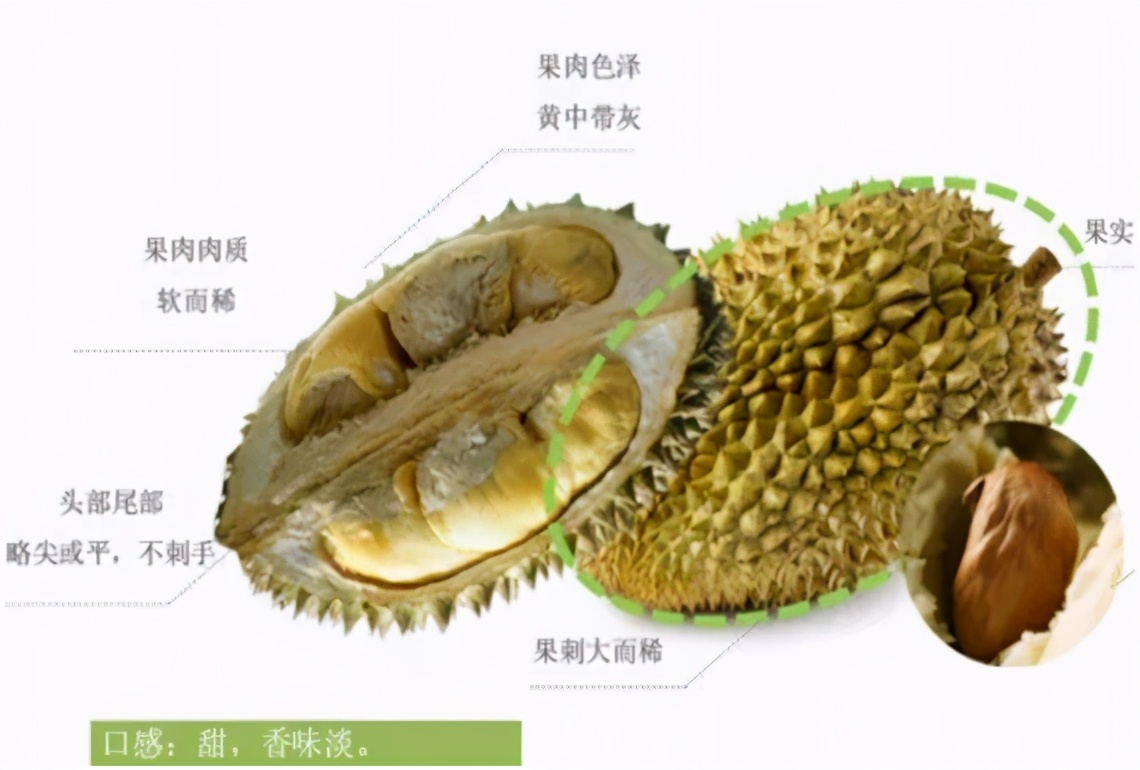 如何挑选榴莲以及榴莲的常见问题解答