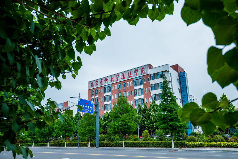 南京医科大学康达学院可能转设为连云港医学院，未来建设医科大学