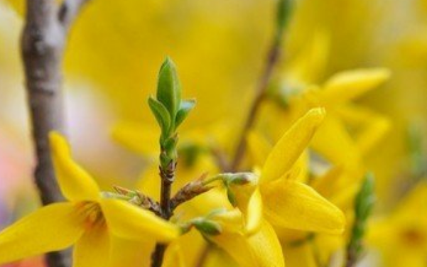 天津财经大学2018理科录取分数