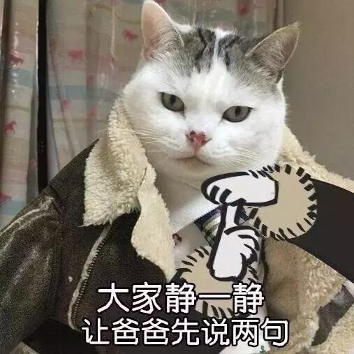 阿趣推书｜一场爆炸，一级律师，直接变成了“身无分文”的穷光蛋