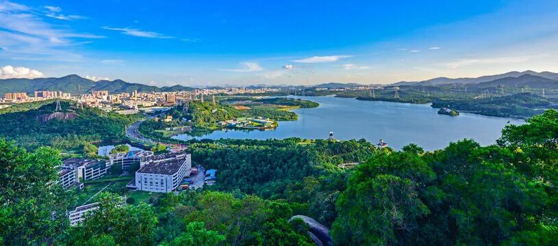 深圳十大免费特色的湖泊公园