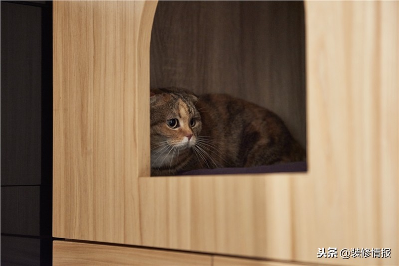 89㎡三室两厅：养猫的人家里原来是这样装修的