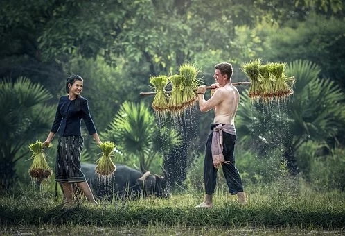 今日劳动节，关于“劳动”的古诗词，你知道多少？