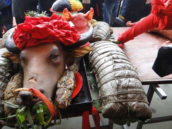 小考"椎牛"宰杀方式,中国古代发明的一种科学,人道的屠杀方式