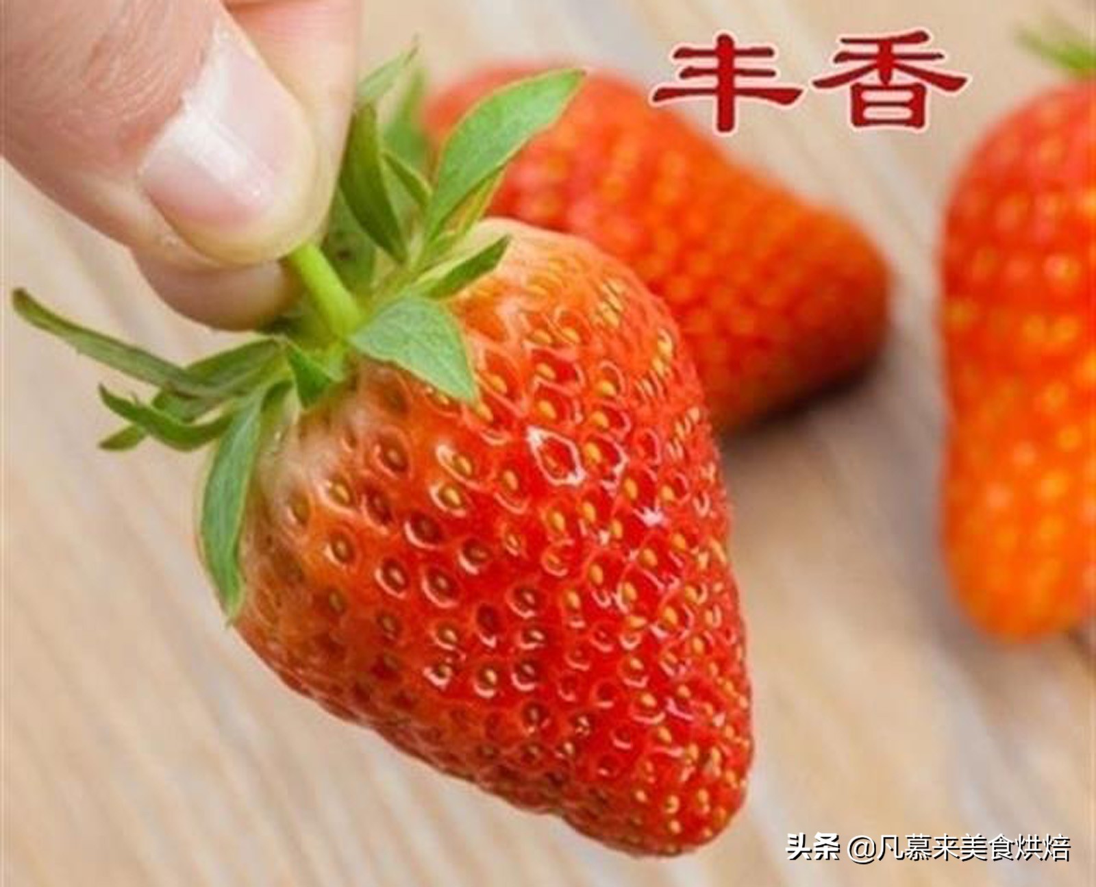 24种常见草莓品种，中国20大草莓产地？哪里的草莓最好吃？