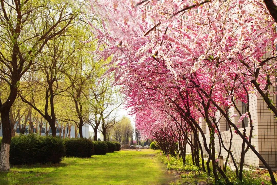 新区高校集结 | 网络铸魂 数字德育，走进黑龙江财经学院！