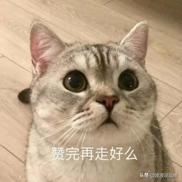 详解IP地址、子网掩码、网络号、主机号、网络地址、主机地址