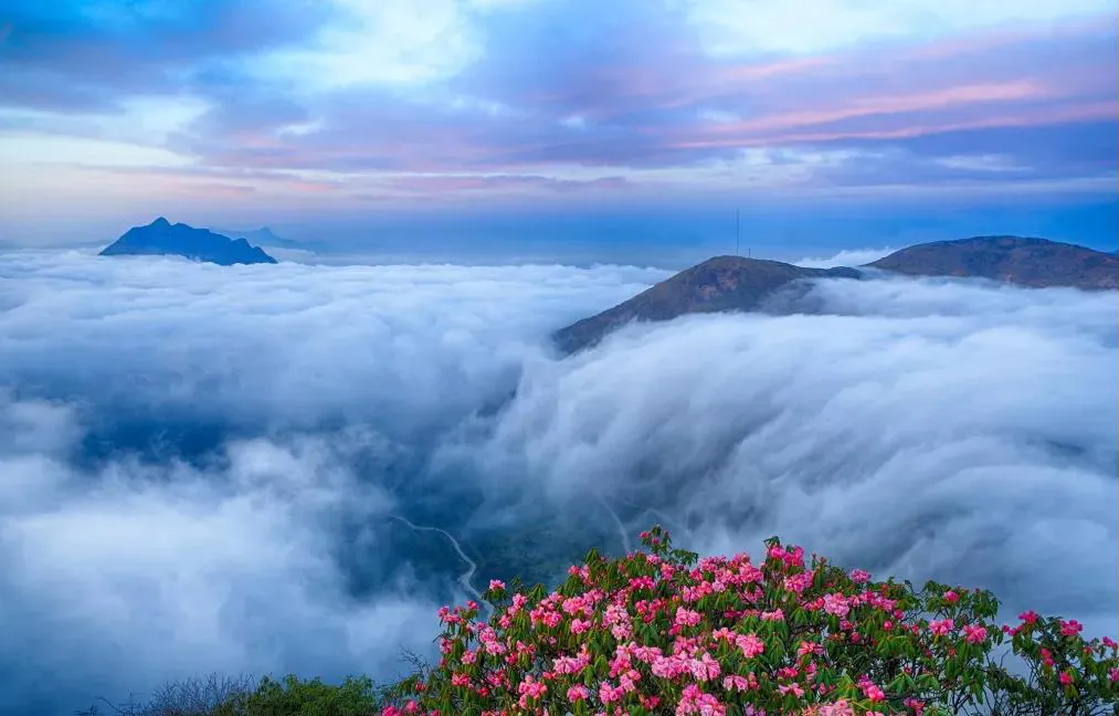 不收门票的世界级风景！赏万亩夏花、观云海日出…成都2天耍来回