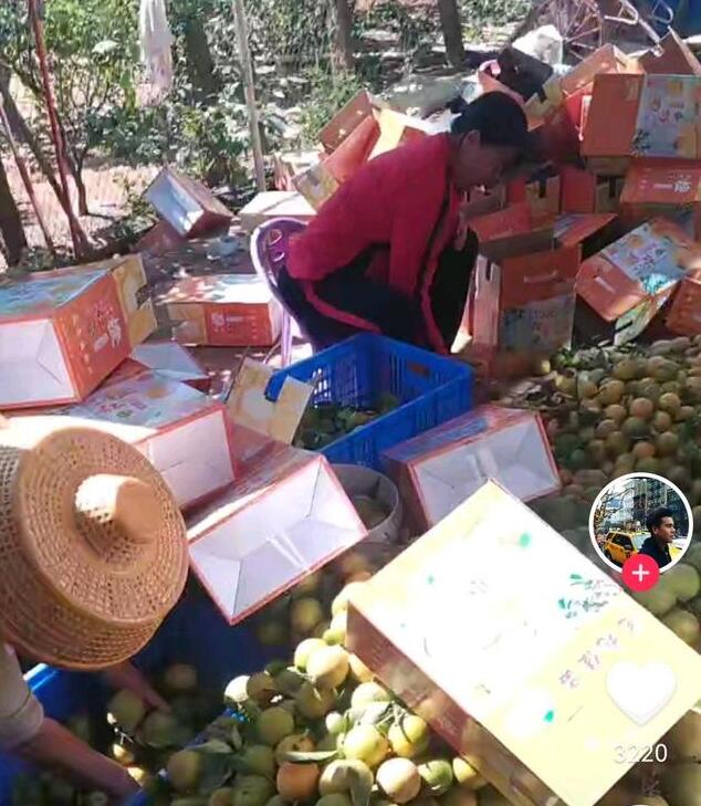 太红了！全红婵爷爷奶奶逛商场，被网友认出来，很低调穿着仍朴素